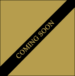 Identity_5