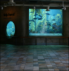 Interactivity_6