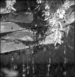 Photography_10